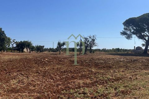 Ruïna a Carovigno, Brindisi, Carovigno - € 225.000 | Ref: Casolare e Trul - foto 3